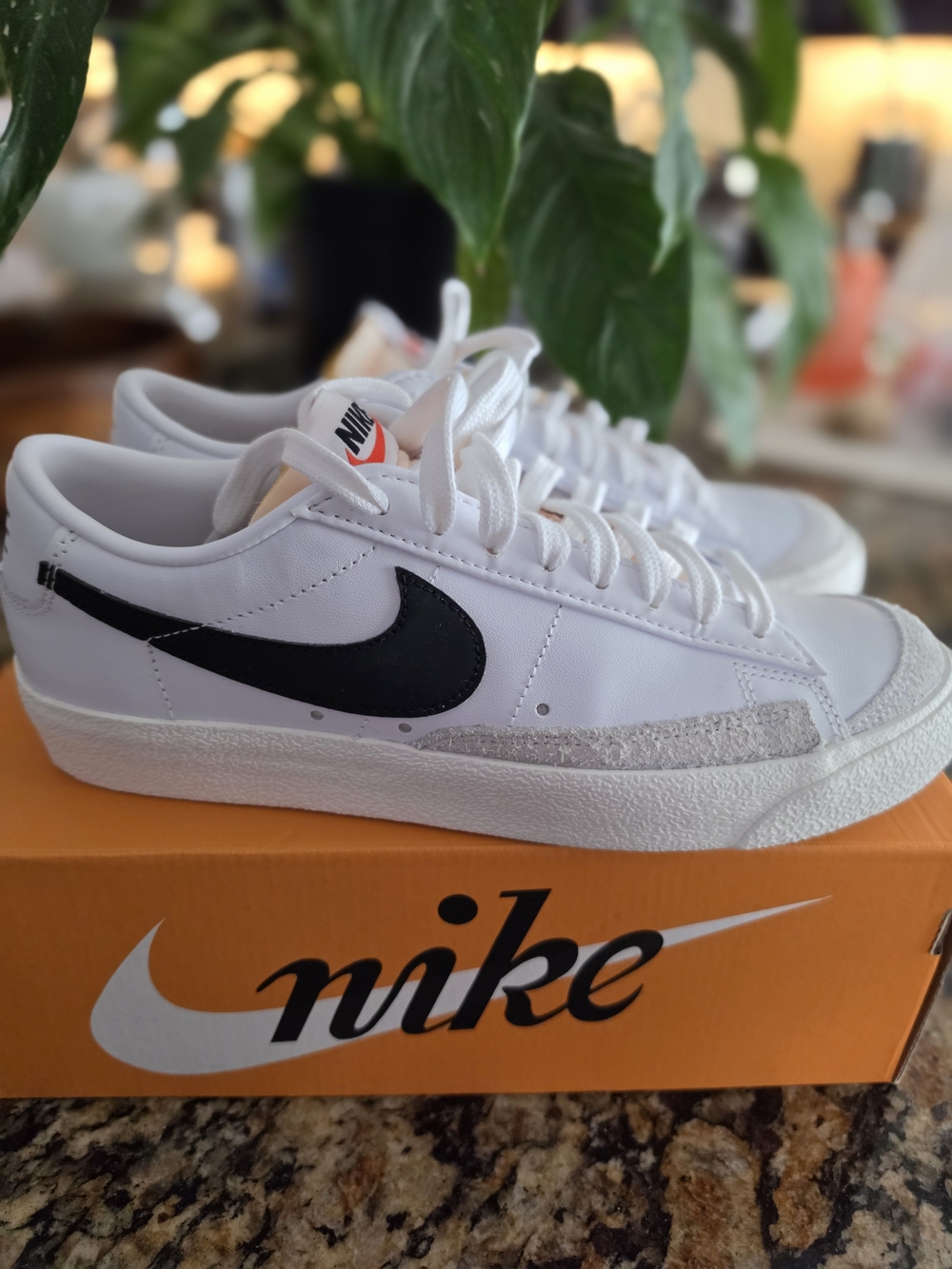 Nike White Low-Top Sneakers with Black Swoosh Blazer